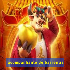 acompanhante de barreiras